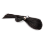 Long tailbud horsetail